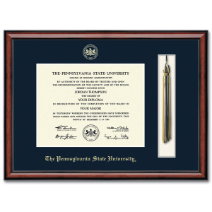 diploma frame with tassel shadow box Southport molding The Pennsylvania State University gold embossed with seal